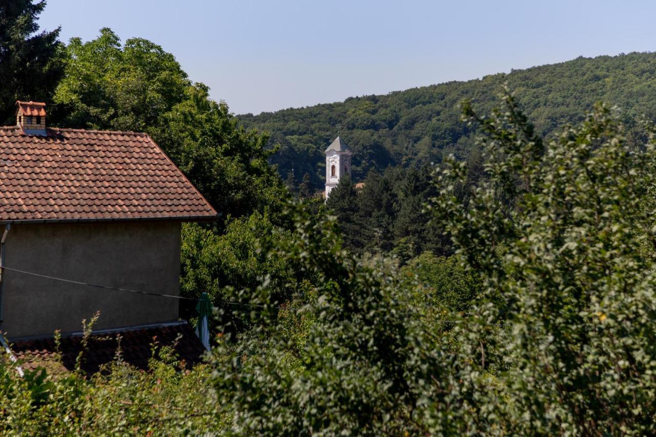 Mi Casa 2 Villa Vrdnik Buitenkant foto